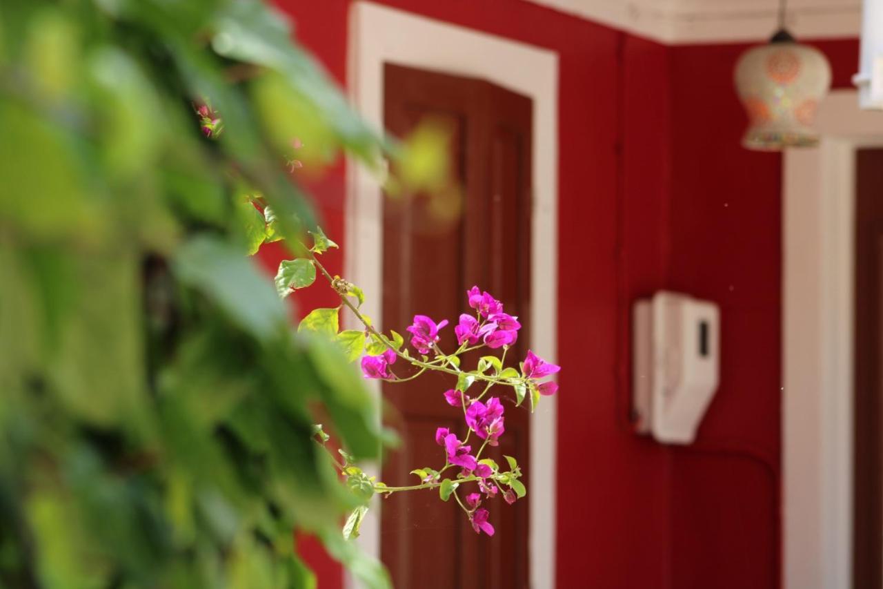 Апартаменты Penelope'S Street Old House Лефкада Экстерьер фото